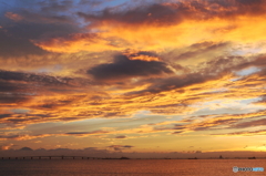 Dramatic Tokyo Bay