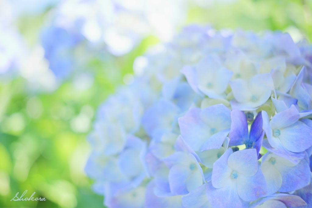 Refreshing Blue