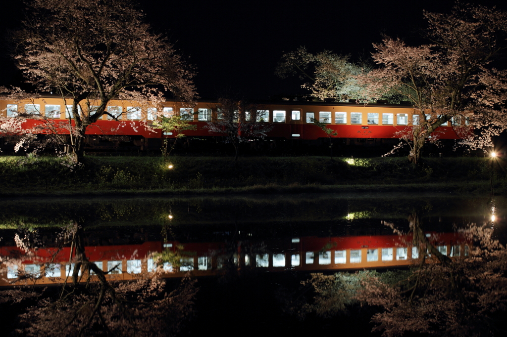 夜桜の駅