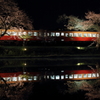 夜桜の駅