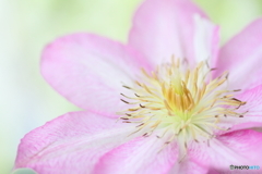 mental beauty2