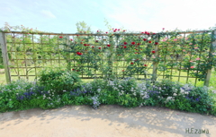 草笛の丘バラ園