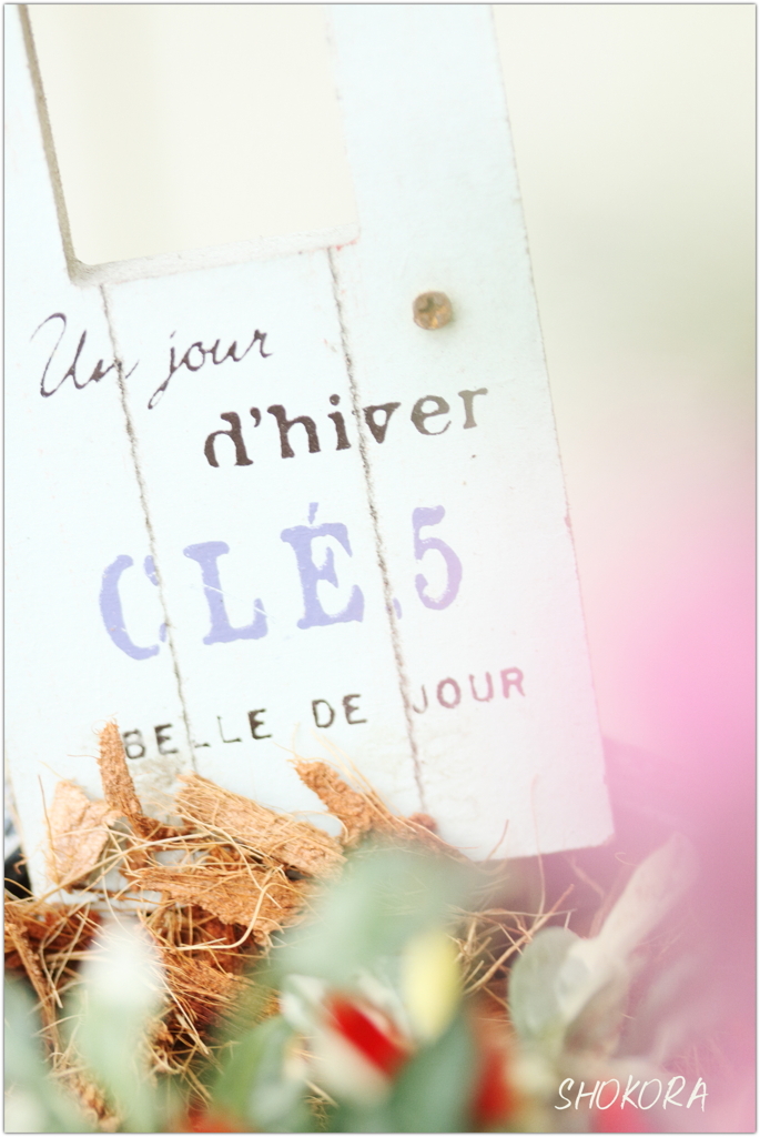 BELLE DE JOUR