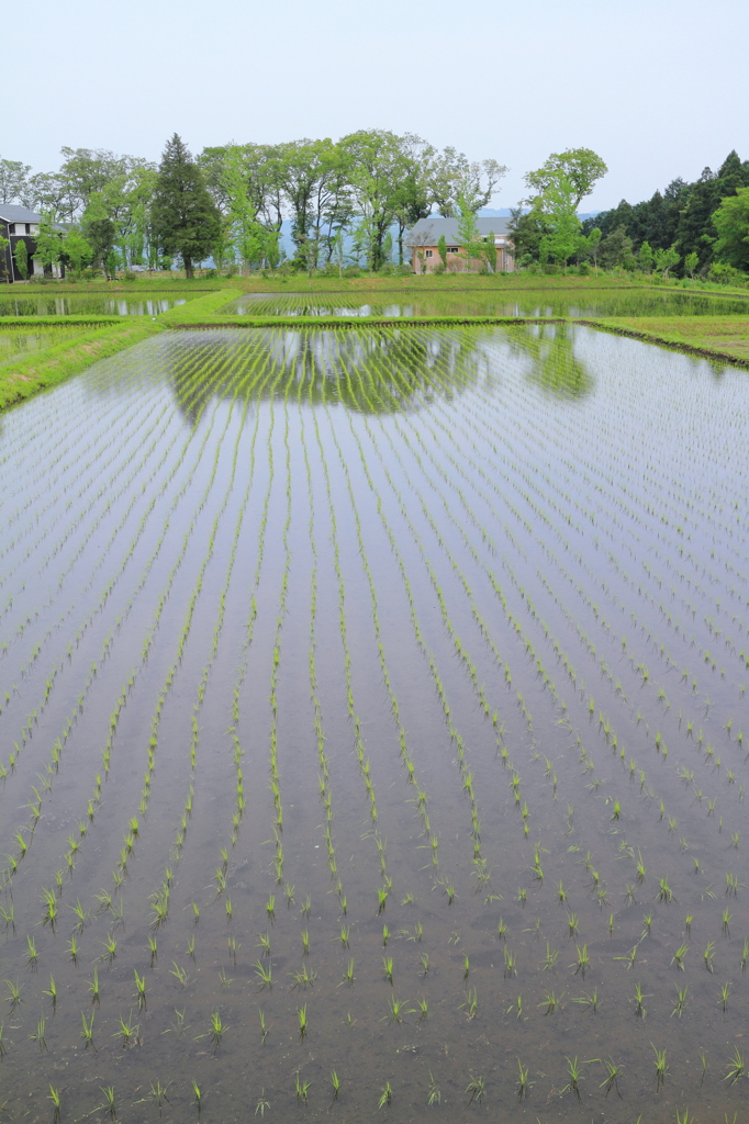 美しき田園