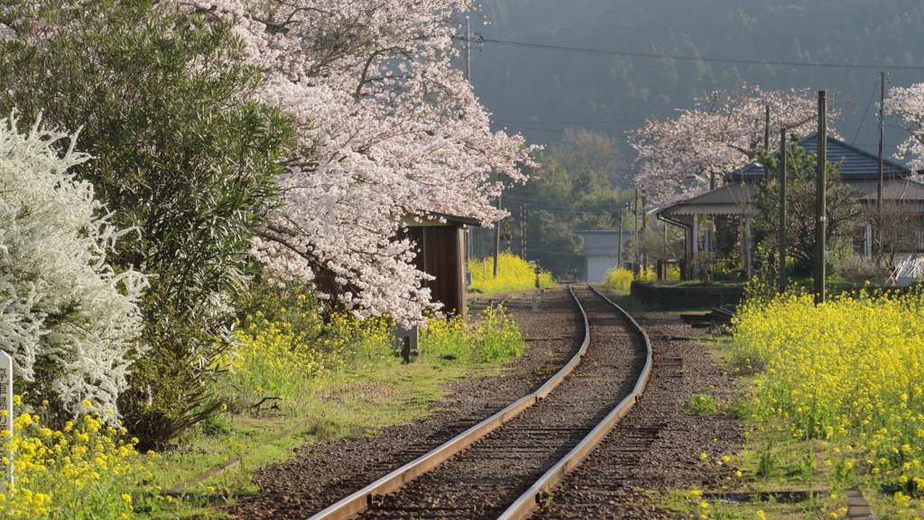 春の高滝駅