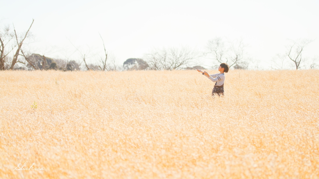 牧草畑と少年