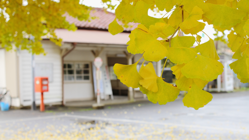 晩秋の駅