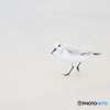 砂浜でステップ