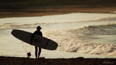 Evening surfer girl