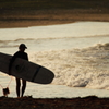 Evening surfer girl