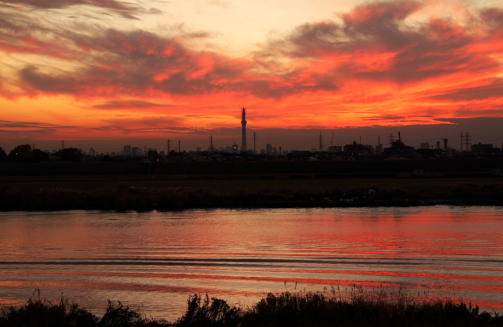 江戸川夕景