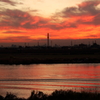 江戸川夕景