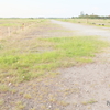 Field along the coast