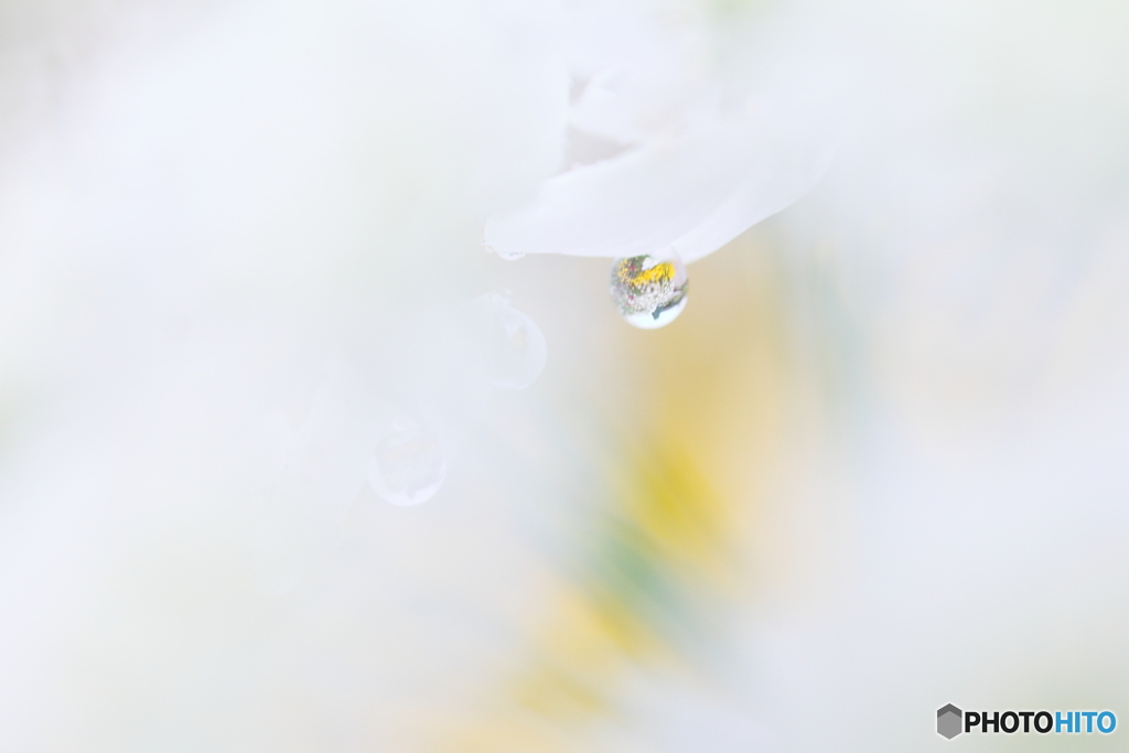 Raindrop