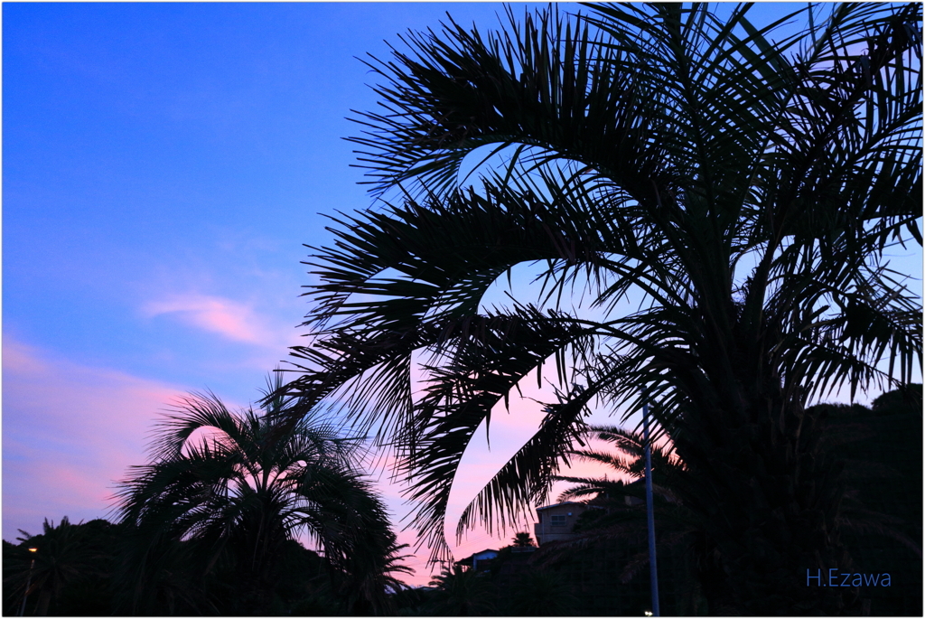 Beach evening2