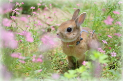 きれいだな(^^♪