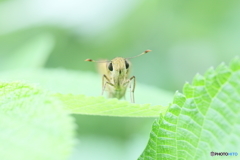 こんにちは