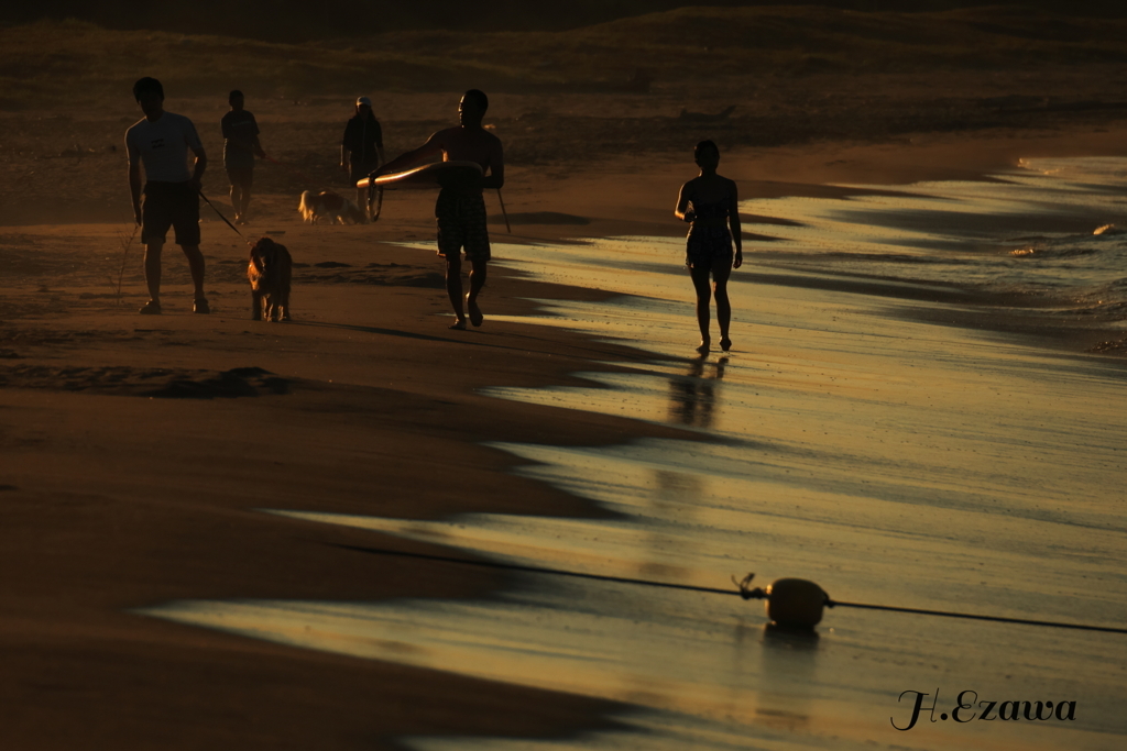 evening sea