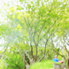緑を運ぶ