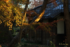 十枝の森の古民家