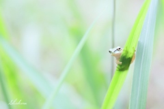 どうも