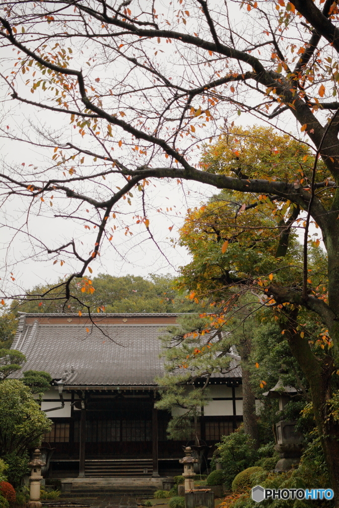 秋の寺