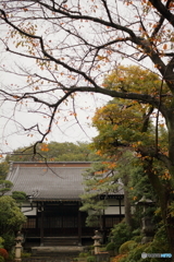 秋の寺