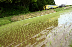 線路のある風景～田んぼに吹く風～