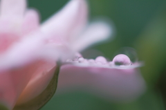 雨上がりの光