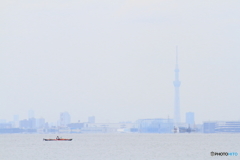 東京湾一人旅