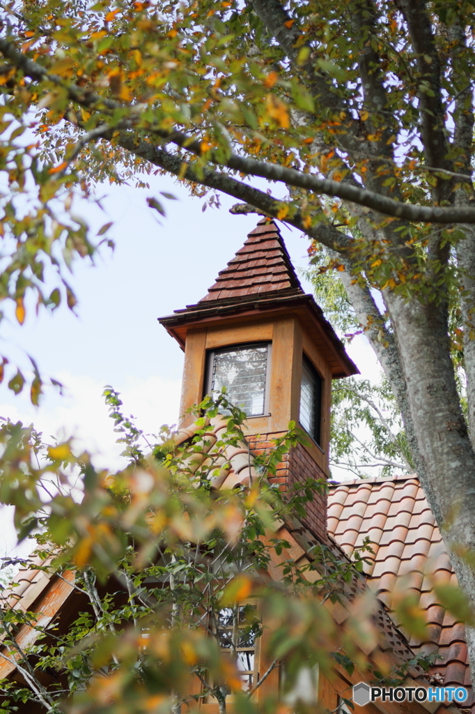 Autumn church