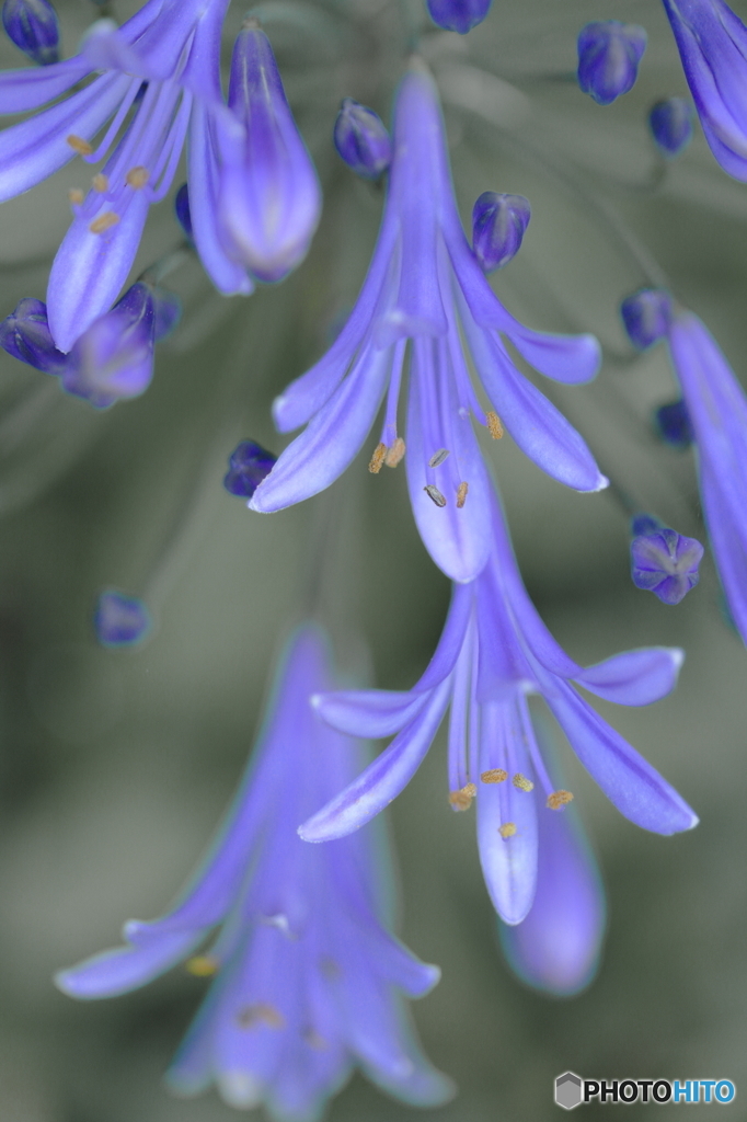 Transparent blue