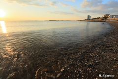 穏やかな浜