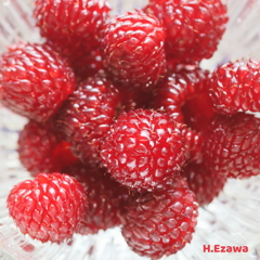 ラズベリー