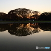 Symmetry evening