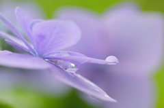 雨上がり