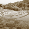 棚田風景
