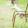 くろねこ舎にてⅥ