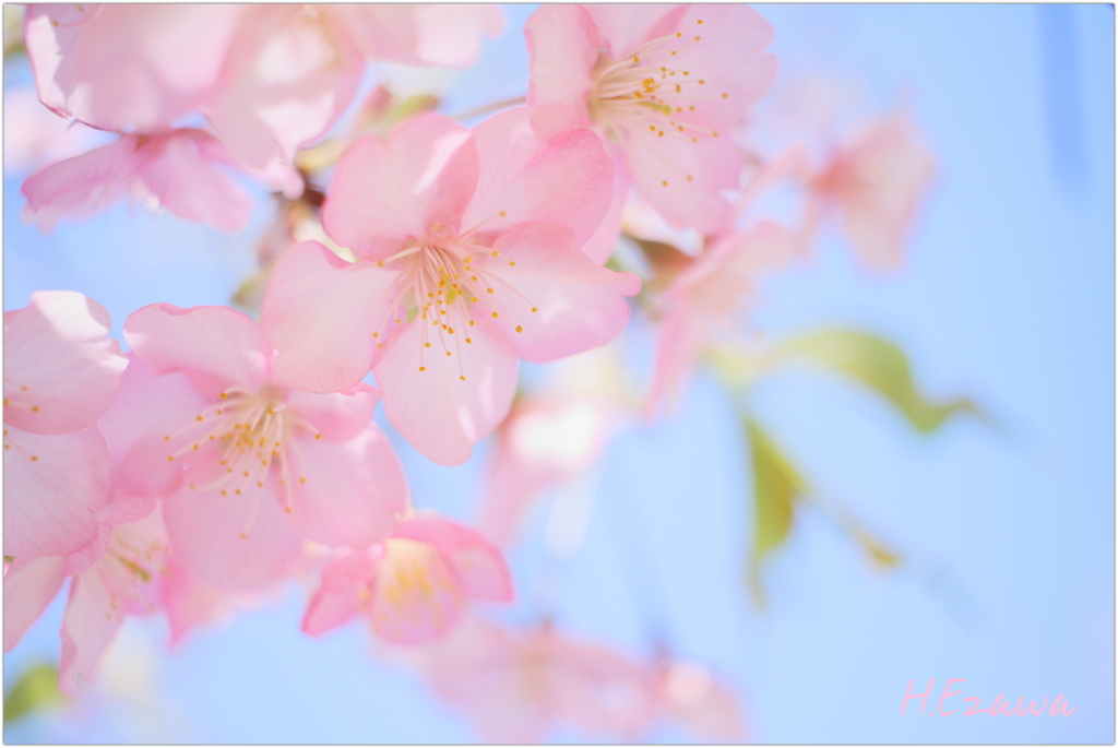 思いを託してⅤ