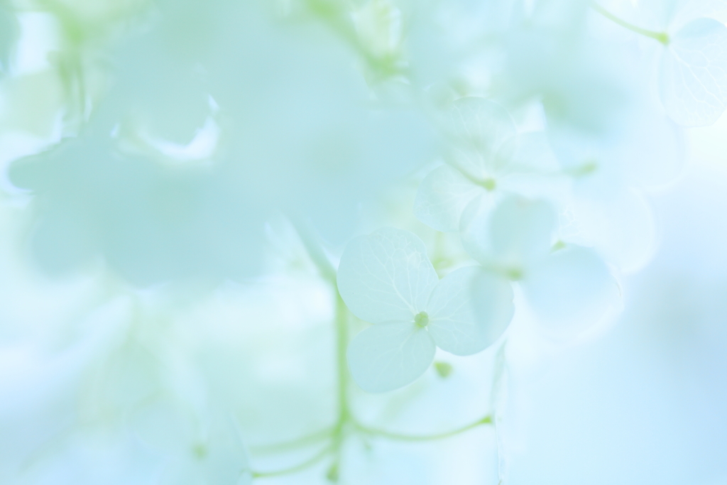 Refreshing light blue
