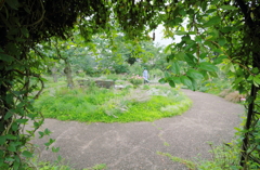 Entrance of the garden