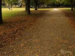 落ち葉の路