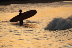 Surfer girl silhouette