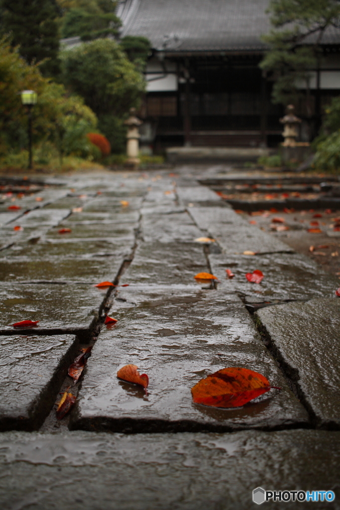 雨の石畳