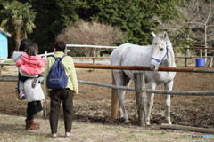 お馬さん、こんにちは(^^♪