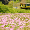 いすみ鉄道