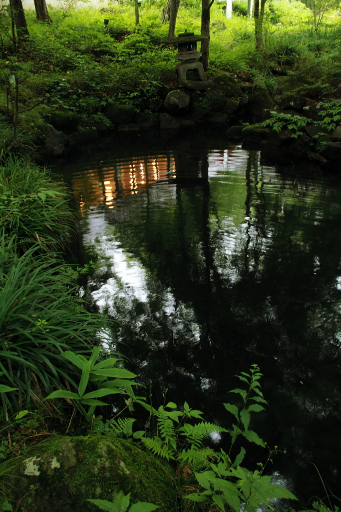 美術館の庭