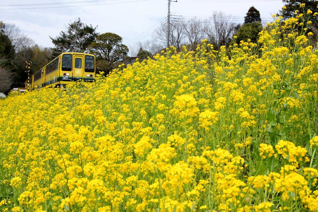 線路のある風景Ⅱ