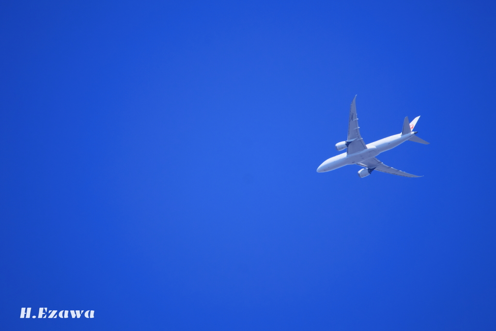 青空に飛ぶ