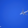 青空に飛ぶ